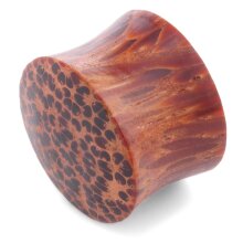 Ear Plug