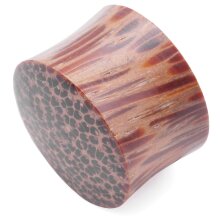 Ear Plug
