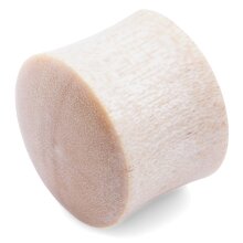 Ear Plug