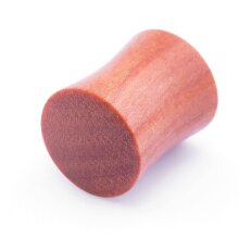 Ear Plug