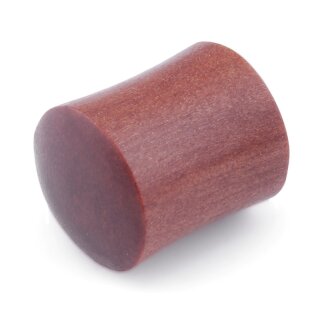 Ear Plug
