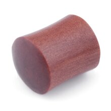 Ear Plug