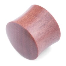 Ear Plug