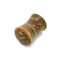 Ear Plug