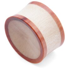 Ear Plug