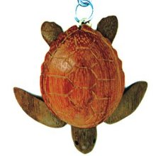 Keychains Turtle
