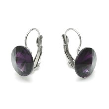 stainless steel earrings, violet stone