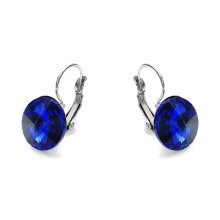 stainless steel earrings, dark blue stone