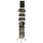 display "Mens Collection", complete rotating stand