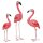 Flamingos, Set of 3