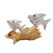 Fish double on driftwood