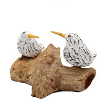 2 seagulls on driftwood