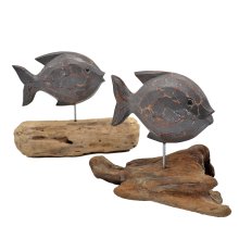 Fisch auf Treibholz, Farbe grau