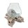 Root wood white with glass, approx. 15 - 20