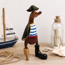 Pirate duck