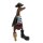 Pirate duck