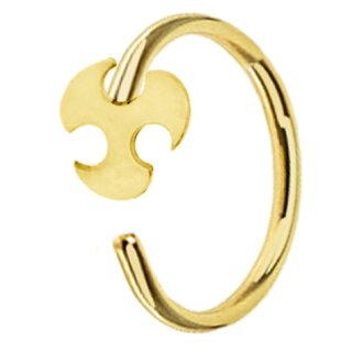 Fake Ring