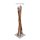 Flower stand teak with glas