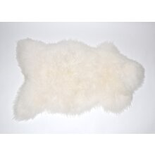 sheepskin nature