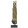 Teak object bleached "100"