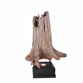 Tree trunk with lighting