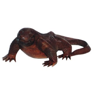 Waran, 20 cm