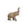 Elephant,teak wood nature,