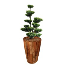Set of 3 flower pots