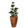 Set of 3 flower pots