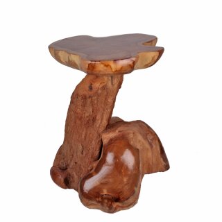 Hocker Pilz