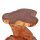 Hocker Pilz