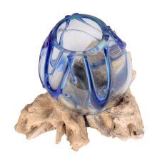 Root with glass "blue lines" on teak wood