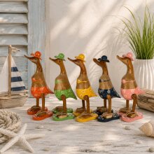 Enten mit Bikini 5-fach sortiert