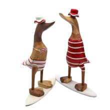 Pair of "beach-surfer" Ducks