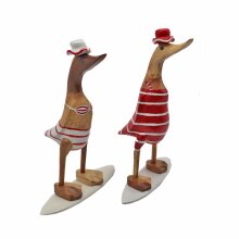 Pair of "beach-surfer" Ducks