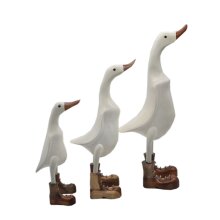 White Duck Family