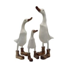 Enten Familie weiß