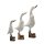Enten Familie weiß