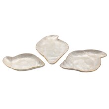 Schalen Set, Muschel, 3 teilig