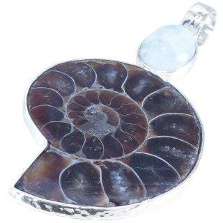 Anhänger Ammonit mit Mondstein in Silber, Länge: ca. 4 - 6 cm