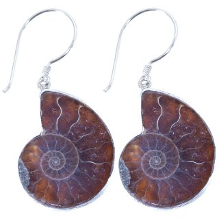 Ohrringe, Ammonit in 925er Silber, Länge: ca. 20 mm