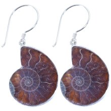 Ohrringe, Ammonit in 925er Silber, Länge: ca. 20 mm