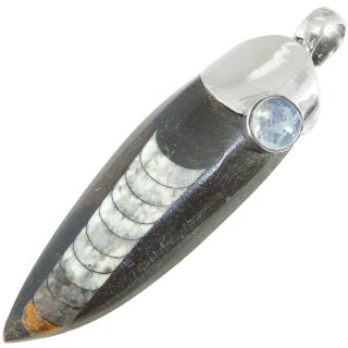 Anhänger fossiler Tintenfisch mit Mondstein in 925er Silber, ca. 40 mm