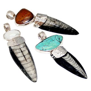 Anhänger Fossiler Tintenfisch mit verschiedenen Steinen, Länge: 50 - 80 mm