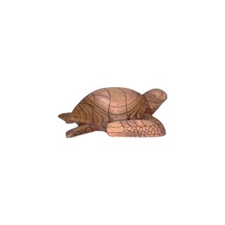 Schildkröte, 25 cm