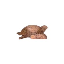 Schildkröte, 25 cm