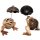 Money Boxes "Frog", coconut, 25 cm