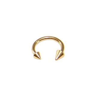 Circular Barbell