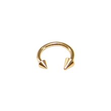 Circular Barbell