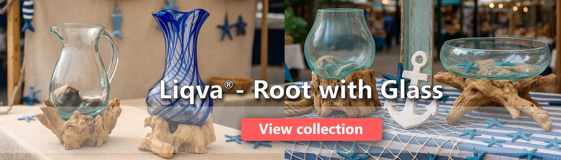 Root with Glass